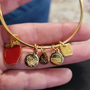 Alex and Ani Apple Charm Gold Bracelet
